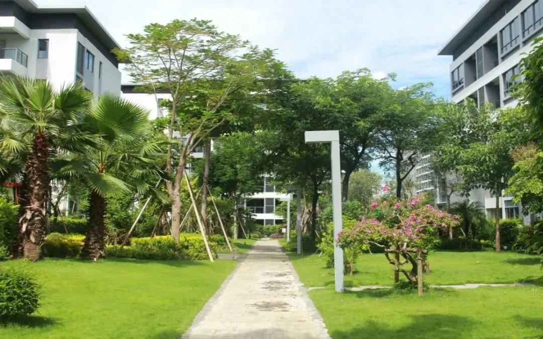 心系长者 - 世俱杯(中国&松樾康养开启温情“暖冬计划”，给长者一个温暖的冬天