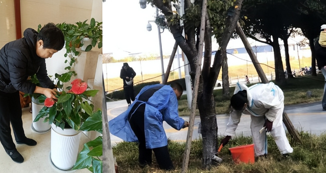 “启新篇，焕新颜”——世俱杯(中国商办事业部开展年终大清洁行动